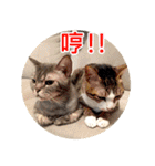 幸せなニャンこ日（個別スタンプ：28）