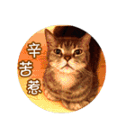 幸せなニャンこ日（個別スタンプ：35）
