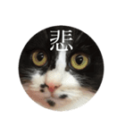 た家のにゃんこたち（個別スタンプ：10）
