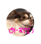 familyスタンプ！！！（個別スタンプ：7）