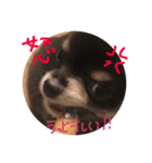familyスタンプ！！！（個別スタンプ：9）