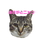 さくらときなこ（個別スタンプ：2）
