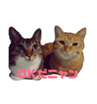 さくらときなこ（個別スタンプ：8）