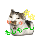 白い悪魔"グン"2（個別スタンプ：5）