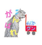 白い悪魔"グン"2（個別スタンプ：6）