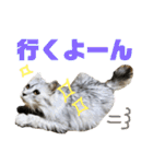 白い悪魔"グン"2（個別スタンプ：13）