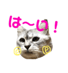 白い悪魔"グン"2（個別スタンプ：24）