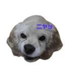ラッベッ♥（個別スタンプ：1）