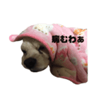 ラッベッ♥（個別スタンプ：4）
