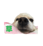 ラッベッ♥（個別スタンプ：5）