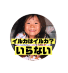 K家の三姉妹     ver切ないダジャレ（個別スタンプ：5）