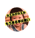 K家の三姉妹     ver切ないダジャレ（個別スタンプ：19）