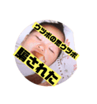 K家の三姉妹     ver切ないダジャレ（個別スタンプ：26）