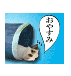 つづらぬき家のうさぎ（個別スタンプ：2）