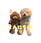 可愛い犬のスタンプ3（個別スタンプ：2）