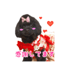 可愛い犬のスタンプ3（個別スタンプ：3）