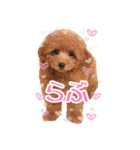 可愛い犬のスタンプ3（個別スタンプ：6）