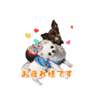 可愛い犬のスタンプ3（個別スタンプ：8）