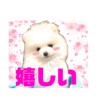 可愛い犬のスタンプ3（個別スタンプ：16）
