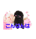 可愛い犬のスタンプ3（個別スタンプ：19）