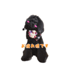 可愛い犬のスタンプ3（個別スタンプ：22）
