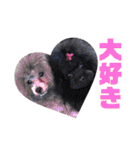 可愛い犬のスタンプ3（個別スタンプ：23）