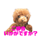 可愛い犬のスタンプ3（個別スタンプ：27）