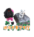 可愛い犬のスタンプ3（個別スタンプ：28）