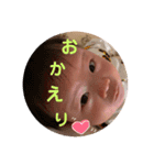 たいちゃんすたんぷ。（個別スタンプ：7）