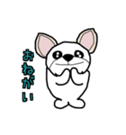 ペキチワ太郎（個別スタンプ：2）