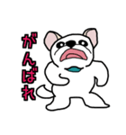 ペキチワ太郎（個別スタンプ：9）