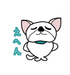ペキチワ太郎（個別スタンプ：13）