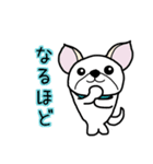 ペキチワ太郎（個別スタンプ：14）