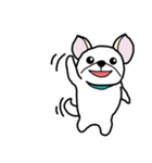 ペキチワ太郎（個別スタンプ：15）