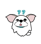 ペキチワ太郎（個別スタンプ：24）