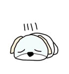 ペキチワ太郎（個別スタンプ：34）