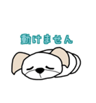 ペキチワ太郎（個別スタンプ：35）