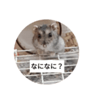 読みやすくなった！ワンハムスタンプ（個別スタンプ：2）