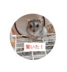 読みやすくなった！ワンハムスタンプ（個別スタンプ：7）