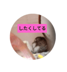 読みやすくなった！ワンハムスタンプ（個別スタンプ：14）