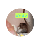 読みやすくなった！ワンハムスタンプ（個別スタンプ：15）