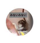 読みやすくなった！ワンハムスタンプ（個別スタンプ：17）