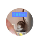 読みやすくなった！ワンハムスタンプ（個別スタンプ：18）