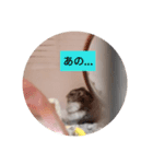 読みやすくなった！ワンハムスタンプ（個別スタンプ：20）