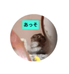読みやすくなった！ワンハムスタンプ（個別スタンプ：22）