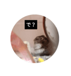 読みやすくなった！ワンハムスタンプ（個別スタンプ：23）