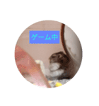 読みやすくなった！ワンハムスタンプ（個別スタンプ：24）