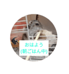 読みやすくなった！ワンハムスタンプ（個別スタンプ：25）