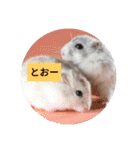 読みやすくなった！ワンハムスタンプ（個別スタンプ：30）