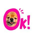 ぼくはあまたろう（個別スタンプ：1）